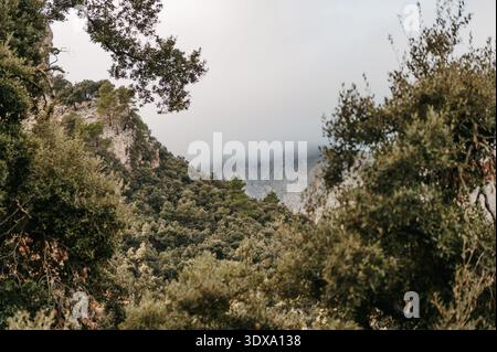 Foresta e cresta nebbiosa a Serra de Tramuntana, Maiorca Foto Stock