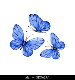 Illustrazione ad acquerello dipinta a mano di tre farfalle blu vibranti in volo. Questi delicati insetti artistici sono caratterizzati da motivi alari dettagliati e. Foto Stock