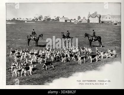 Cottesmore Foxhounds pack con tre cavalieri a cavallo e cacciatori in uniformi tradizionali assemblati su un campo erboso vicino a edifici residenziali distanti, scena di caccia inglese vintage dagli sport del mondo, con illustrazioni da disegni e fotografie di Aflalo, Frederick G. (Frederick George), 1870-1918 data di pubblicazione 1905 Foto Stock