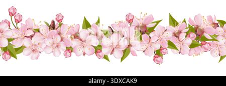 Bordo floreale Sakura Blossom senza cuciture Illustrazione Vettoriale