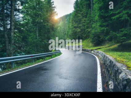 Strada di montagna bagnata che si snoda attraverso una fitta foresta verde Foto Stock
