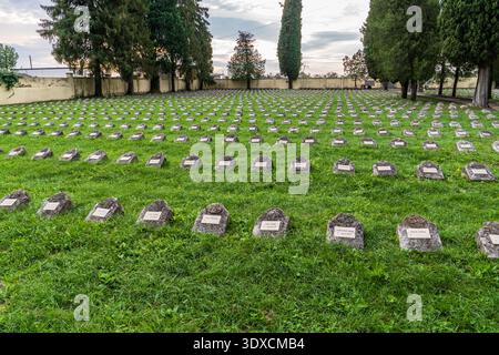 Vista prospettica delle caratteristiche lapidi in cemento allineate con precisione al Cimitero austro-ungarico di Fogliano Redipuglia, Friuli Venezia Giuli Foto Stock