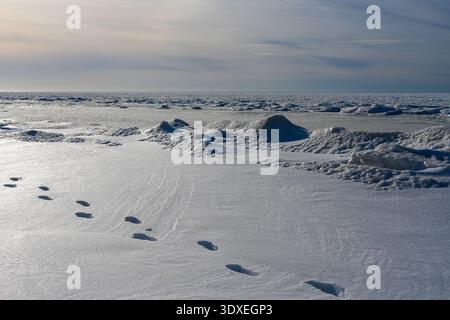 Impronte di neve profonda lungo la costa invernale del Mar Baltico ghiacciato Foto Stock