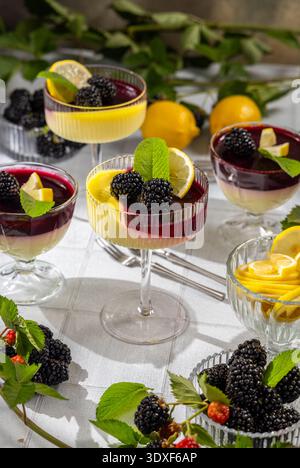Rinfrescanti dessert in panna cotta che presentano cremosi strati di limone e bacche, guarniti con more fresche, fette di limone e foglie di menta, catturando Foto Stock