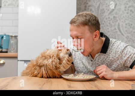 Un grande cane bruno dai capelli ricci sta vicino al tavolo da pranzo mentre l'uomo mangia, il cane implora cibo Foto Stock