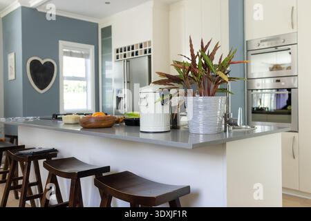 Piano cucina isola con piantatrice d'argento, barattolo bianco, cesto di frutta in legno con arance Foto Stock