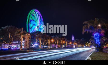 viale fiancheggiato da palme con percorsi leggeri a lunga esposizione da auto di passaggio, sull'isola di Madeira Foto Stock
