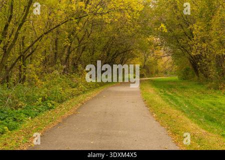 Un percorso ciclabile e escursionistico lastricato nel bosco in autunno. Foto Stock