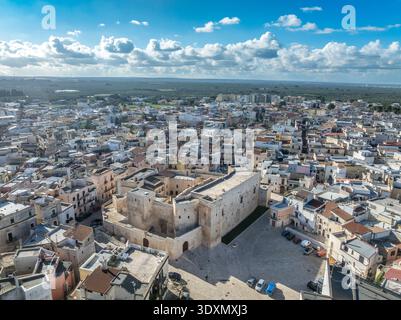 Vista aerea del Castello di Sannicandro: Fortezza medievale normanna-Hohenstaufen in Puglia, Italia. Splendida prospettiva droni del monumento storico Foto Stock