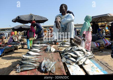 Un affollato mercato del pesce costiero con venditori ambulanti che vendono pesce fresco su una spiaggia di sabbia soleggiata a M'bour, Senegal. Foto Stock