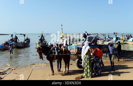 Un affollato mercato del pesce costiero con venditori ambulanti che vendono pesce fresco su una spiaggia di sabbia soleggiata a M'bour, Senegal. Foto Stock
