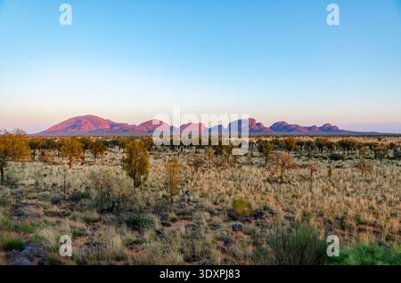 Vista panoramica di Kata Tjuta (gli Olgas) durante il tramonto, che mostra le grandi formazioni rocciose bagnate da tenui sfumature rosa e arancione. Foto Stock