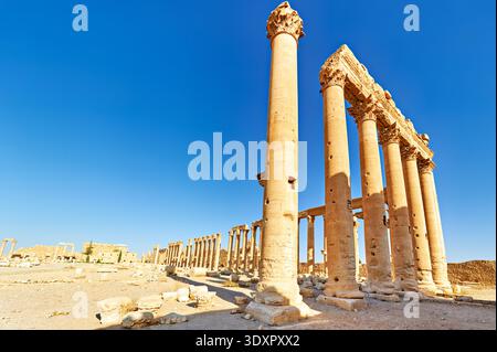 I visitatori camminano tra le alte colonne del Tempio di bel a Palmira. Le rovine mostrano il significato storico di questo sito. Foto Stock