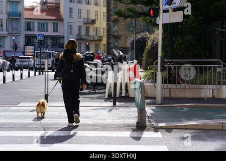 Donna in nero cammina il suo piccolo cane soffice attraverso un incrocio zebra a Nizza, con scooter parcheggiati ed edifici classici sullo sfondo.Nizza, Francia Foto Stock
