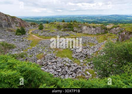 Cava di granito Cheesewring a Bodmin Moor vicino a Minions, Cornovaglia, Regno Unito Foto Stock