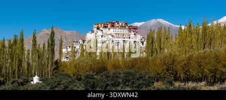 Vista panoramica del monastero di Thiksey su una collina dietro una fila di pioppi autunnali con la catena montuosa Ladakh innevata in lontananza. Foto Stock