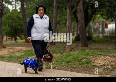 Donna matura che cammina due piccoli cani al guinzaglio lungo un sentiero lastricato in un parco Foto Stock