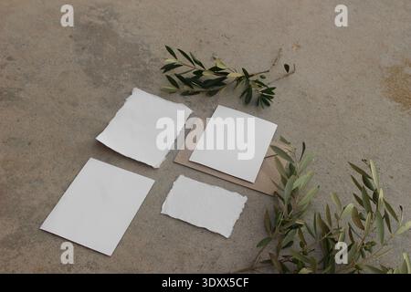 Set di inviti per matrimoni estivi. Carte vuote, busta Mockup con ramo di oliva. Superficie in calcestruzzo. Carta fatta a mano, cancelleria rustica neutrale. Posizione piatta Foto Stock