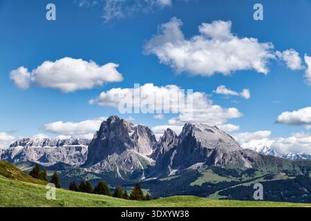 I visitatori godono di una vista panoramica sul monte Sassolungo in Val Gardena. La scena include colline verdi e cieli blu con nuvole. Foto Stock
