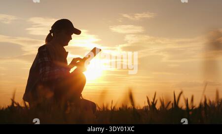 Silhouette di un agricoltore che lavora con un tablet digitale sul campo al tramonto. Foto Stock
