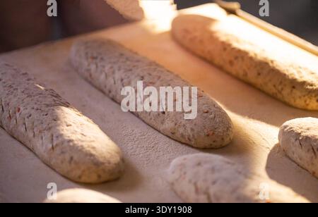 Vista dettagliata dei rotoli di impasto del pane crudo, grattugiati e spolverati di farina, con semi o chicchi, pronti per la cottura al forno nella panetteria commerciale Foto Stock