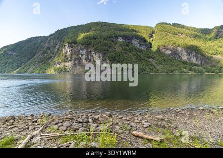 Vista delle acque calme che rispecchiano le lussureggianti e verdi montagne sotto un cielo limpido, con coste rocciose che aggiungono consistenza al tranquillo paesaggio, Bolstadoyri, Vest Foto Stock