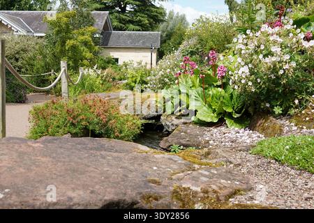 Un giardino estivo paesaggistico caratterizzato da un sentiero in pietra delimitato da una recinzione di corda, circondato da una varietà di piante fiorite, arbusti e vegetazione. Foto Stock