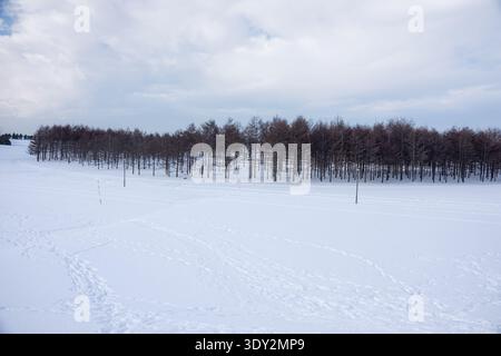 Vista invernale del Parco Moerenuma fuori Sapporo, Giappone, ricoperto di neve Foto Stock