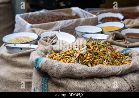 India, Delhi, Vecchia Delhi. Khari Baoli, una strada conosciuta come il più grande mercato all'ingrosso delle spezie dell'Asia. Operante dal XVII secolo. Peperoncini. Foto Stock