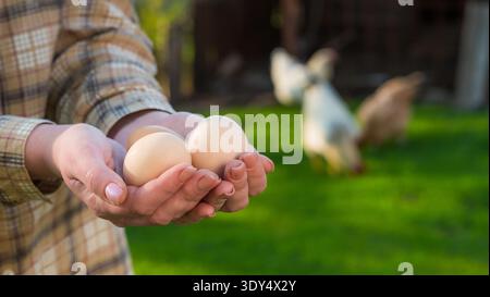 Le mani del contadino tengono alcune uova nel cortile della sua azienda, polli pascolano sullo sfondo Foto Stock