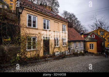 Storiche case in legno del XIX secolo lungo l'affascinante strada acciottolata di Damstredet a Oslo, Norvegia, che mostra facciate colorate da vicino. Foto Stock