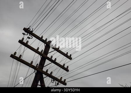 Le linee elettriche si innalzano da un palo di legno sullo sfondo di un cielo grigio coperto. La scena trasmette un senso di calma e tranquillità in un rur Foto Stock