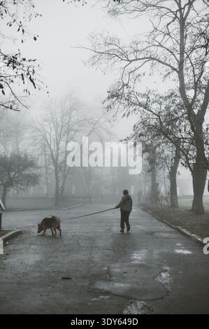 Un uomo cammina il suo cane in una fitta nebbia in un parco Foto Stock