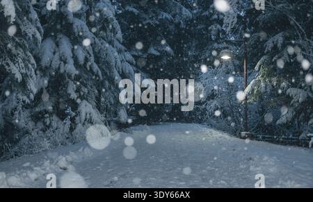Vista del sentiero innevato attraverso la foresta con neve che cade Foto Stock