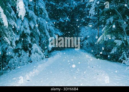 Vista del sentiero innevato attraverso la foresta con neve che cade Foto Stock