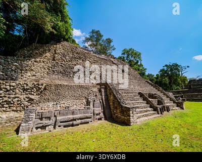 Le rovine maya mostrano strutture in pietra e gradini in Plaza A nel sito archeologico di Caracol in Belize, vicino a San Ignacio Foto Stock