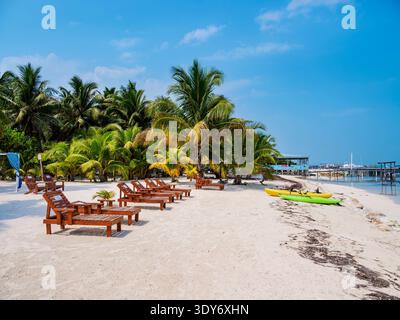 Caye Caulker Village Beach, Caye Caulker, Belize District, Belize Foto Stock