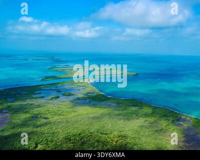 Vista aerea che mostra la vegetazione lussureggiante e le acque cristalline di Ambergris Caye in Belize, mostrando la natura e la bellezza costiera Foto Stock
