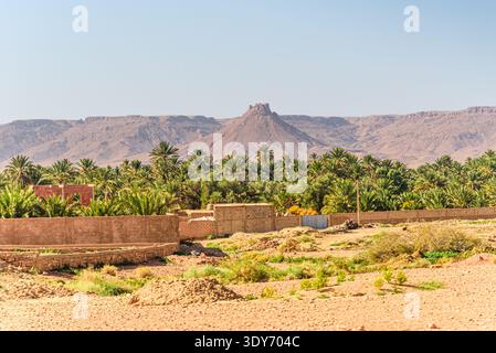 Lussureggiante oasi di palme da dattero in un paesaggio desertico vicino a Erfoud con montagne coniche sullo sfondo Foto Stock
