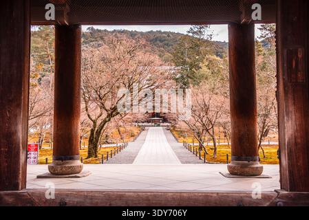 Ammira attraverso pilastri di legno verso un sentiero alberato e la porta Sanmon al Tempio di Chion-in all'inizio della primavera a Kyoto Foto Stock