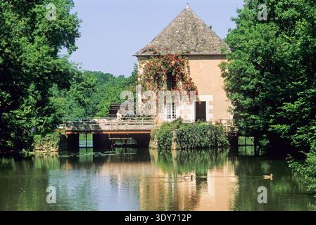 Mulino ad acqua di Fleuriaux sulla riva dell'Indre con alberi circostanti a Monts, Indre-et-Loire in Francia Foto Stock