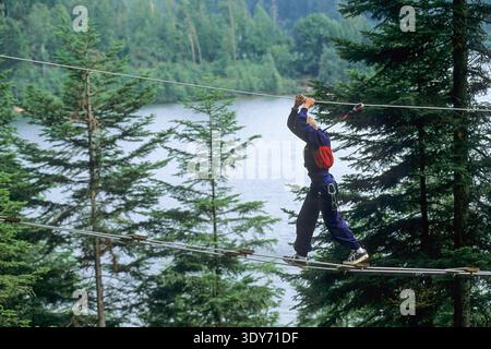 Attività di arrampicata sugli alberi su una riva del lago in Lorena durante una giornata di sole in estate Foto Stock