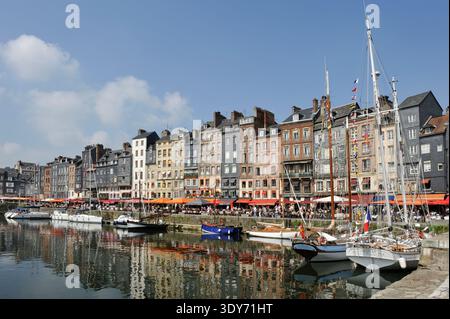 Edifici colorati fiancheggiano il porto con barche e ristoranti a Honfleur, Francia, che mostrano la vita quotidiana in riva all'acqua Foto Stock