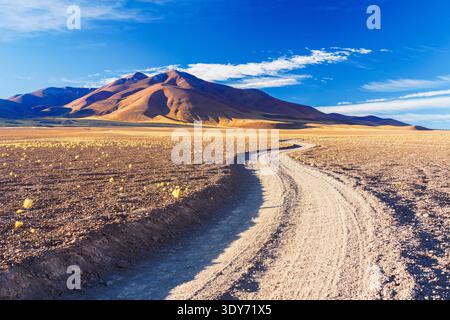 Il percorso tortuoso attraverso l'altipiano andino presenta il paesaggio unico della regione di Puna in Argentina Foto Stock