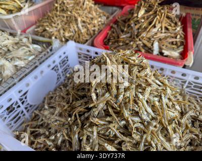Pesce essiccato in esposizione per la vendita al mercato di Waingapu, East Sumba Regency, Indonesia Foto Stock