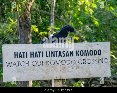 Segnalate l'attraversamento del drago di Komodo sull'isola di Komodo in Indonesia per la sicurezza e la consapevolezza dei visitatori Foto Stock