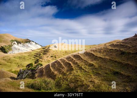 Le colline di praterie dorate e le terrazze naturali mostrano il paesaggio vicino a Cape Farewell a Golden Bay, South Island, nuova Zelanda sotto il cielo nuvoloso Foto Stock