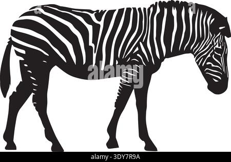 Profilo laterale Zebra con strisce audaci, testa abbassata, sfondo bianco. Illustrazione Vettoriale