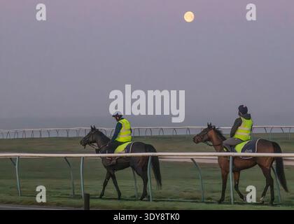 Alba sul Jockey Club Lambourn Training Grounds, Regno Unito Foto Stock