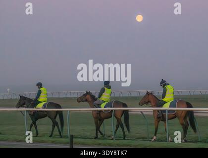 Alba sul Jockey Club Lambourn Training Grounds, Regno Unito Foto Stock